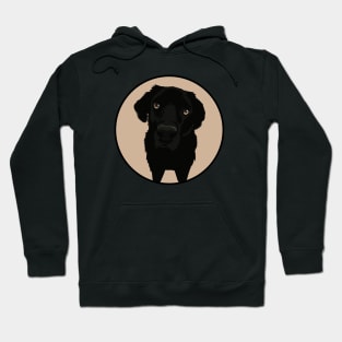 Black Labrador Retriever Dog Original Desing Yako Hoodie